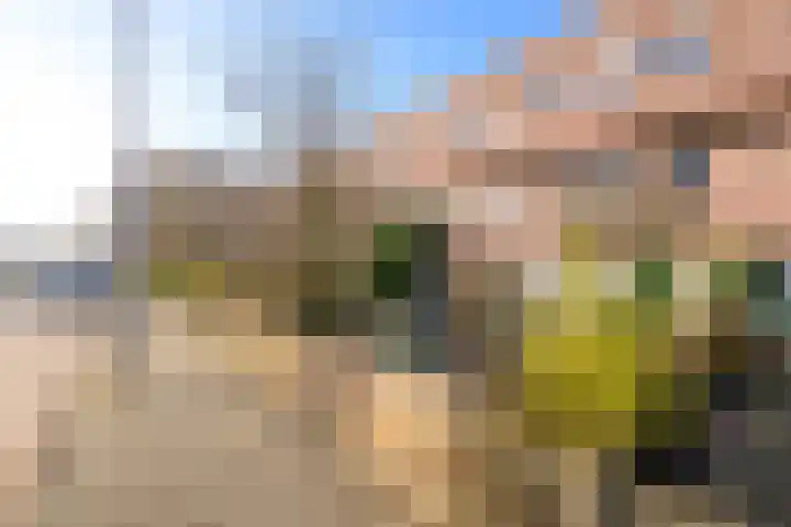 Pleviersingel 6 Den Haag thumbnail 36