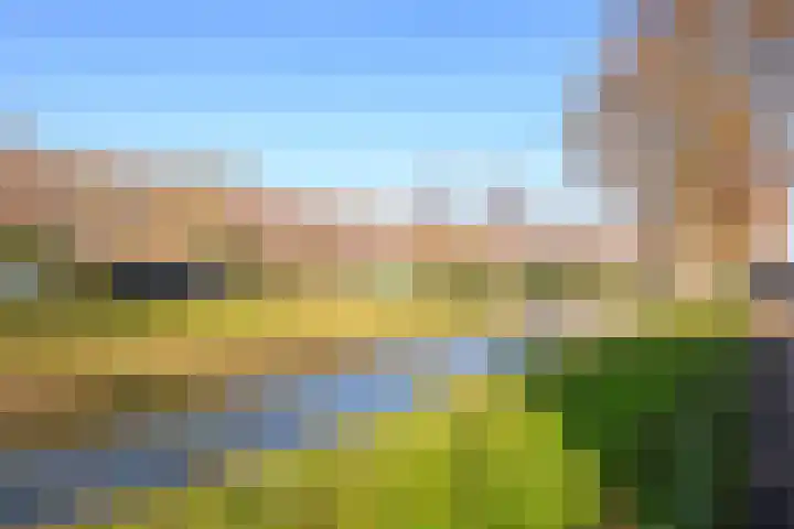 Pleviersingel 6 Den Haag thumbnail 4