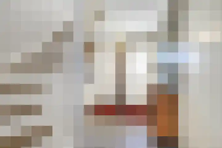 Pleviersingel 6 Den Haag thumbnail 5