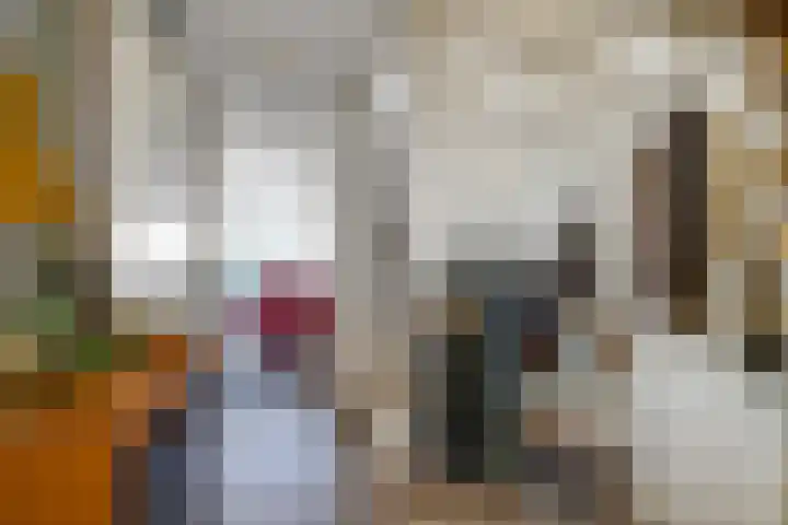 Pleviersingel 6 Den Haag thumbnail 6