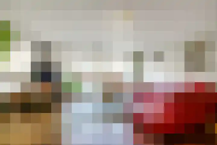 Pleviersingel 6 Den Haag thumbnail 7