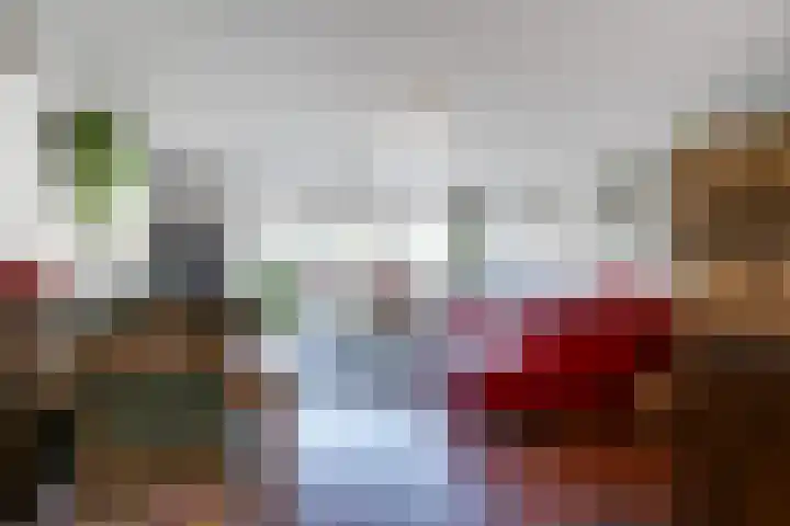 Pleviersingel 6 Den Haag thumbnail 8