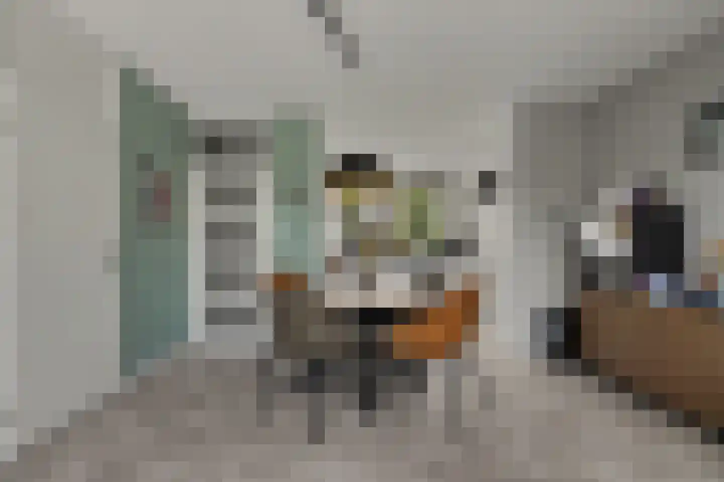 Plevierstraat 1 Strijen thumbnail 19