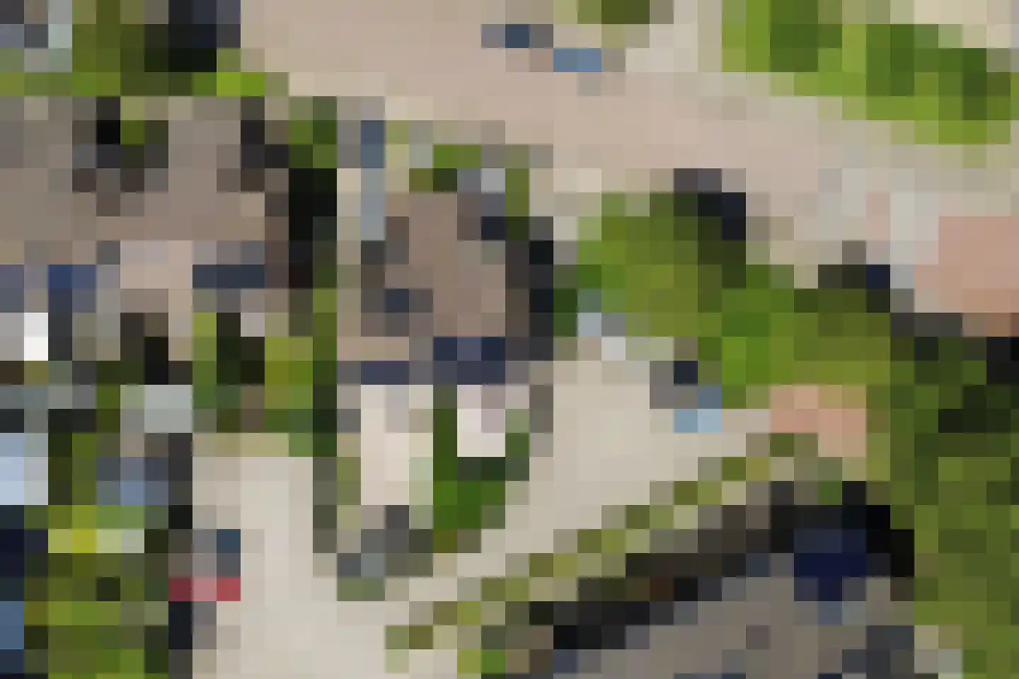 Plevierstraat 1 Strijen thumbnail 39