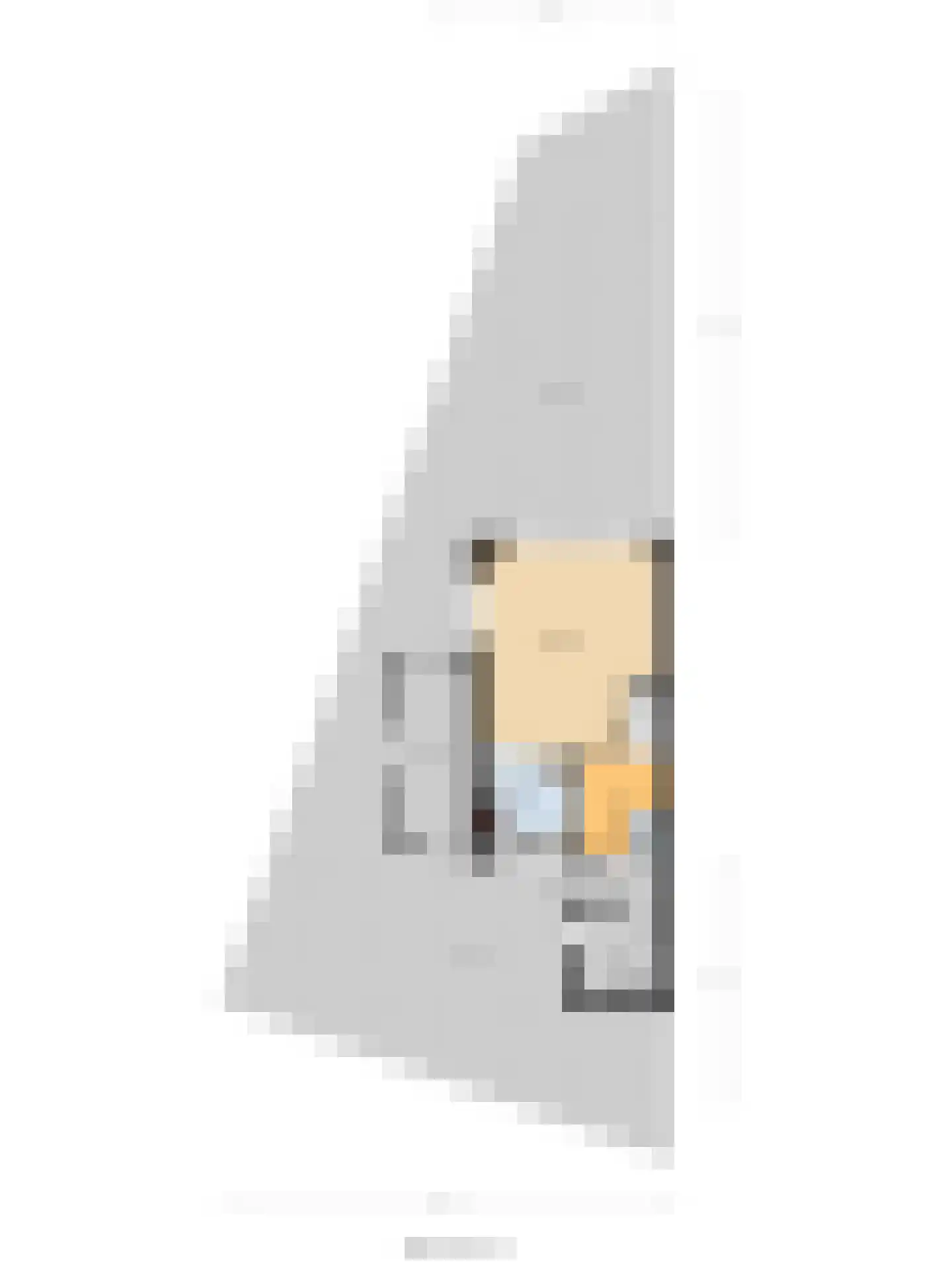 Plevierstraat 1 Strijen thumbnail 47