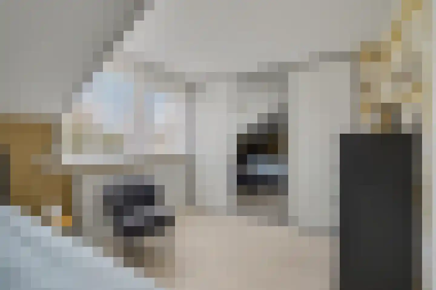 Plevierstraat 1 Strijen thumbnail 5