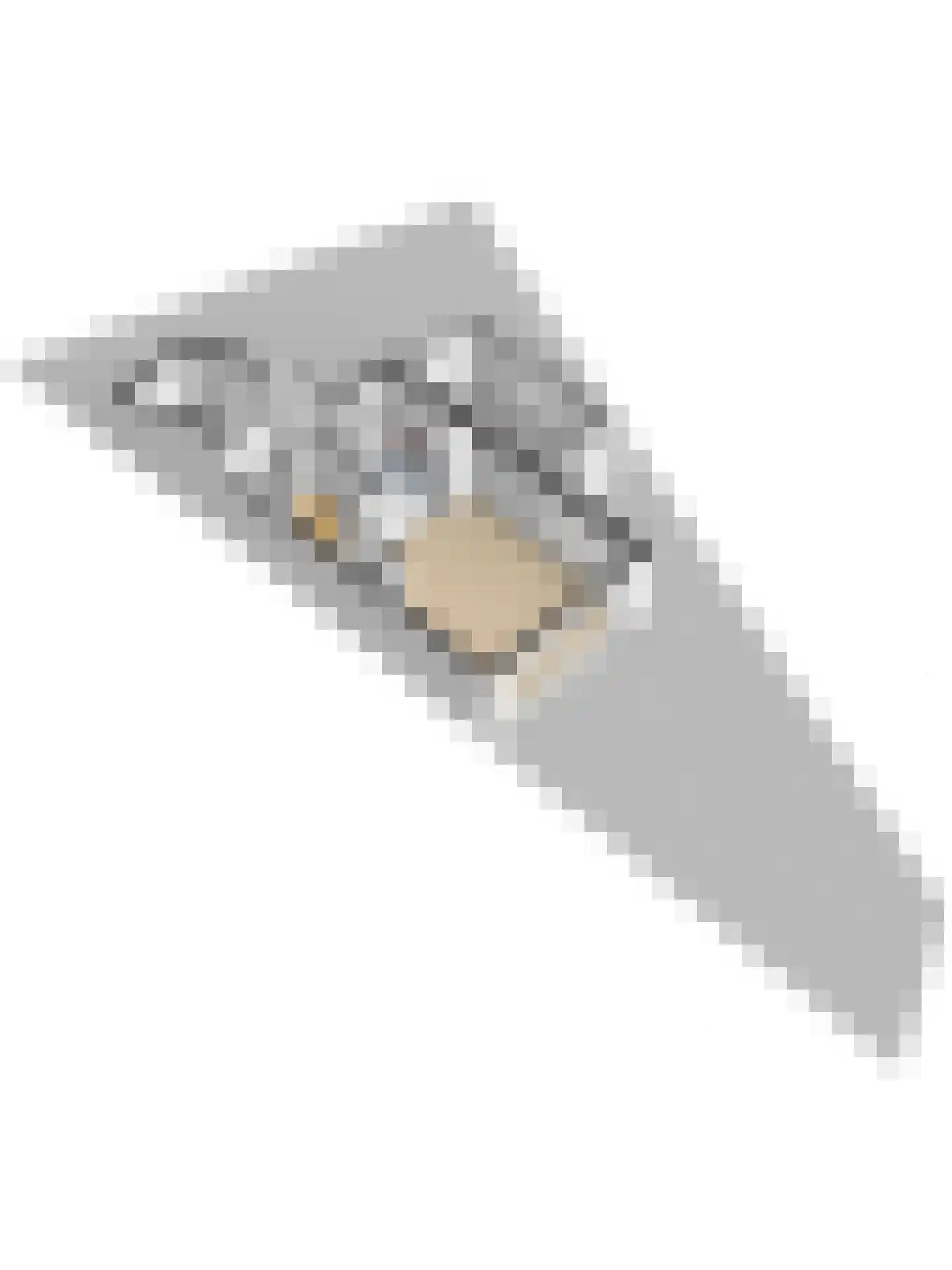Plevierstraat 1 Strijen thumbnail 51