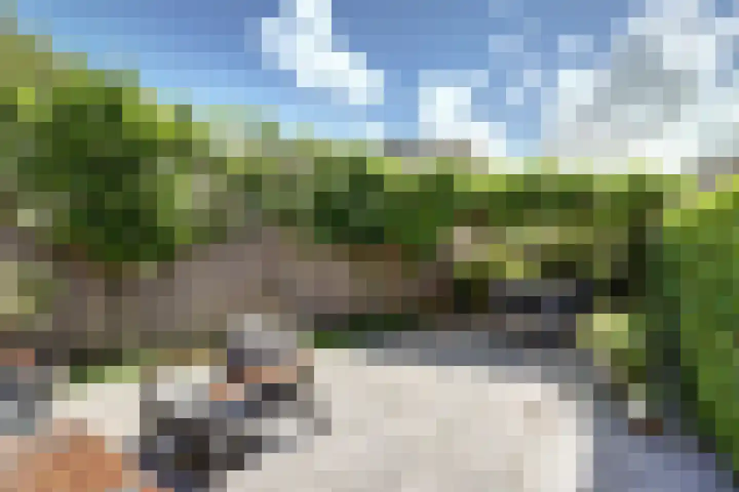Plevierstraat 1 Strijen thumbnail 9