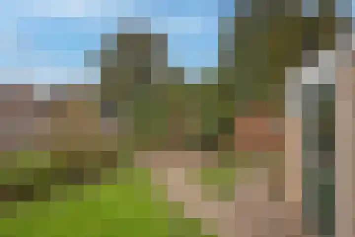 Plevierstraat 11 Delden thumbnail 30