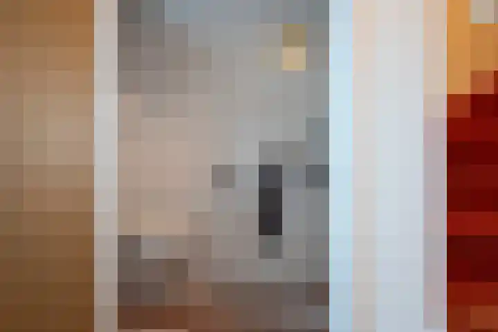 Plevierstraat 11 Delden thumbnail 9
