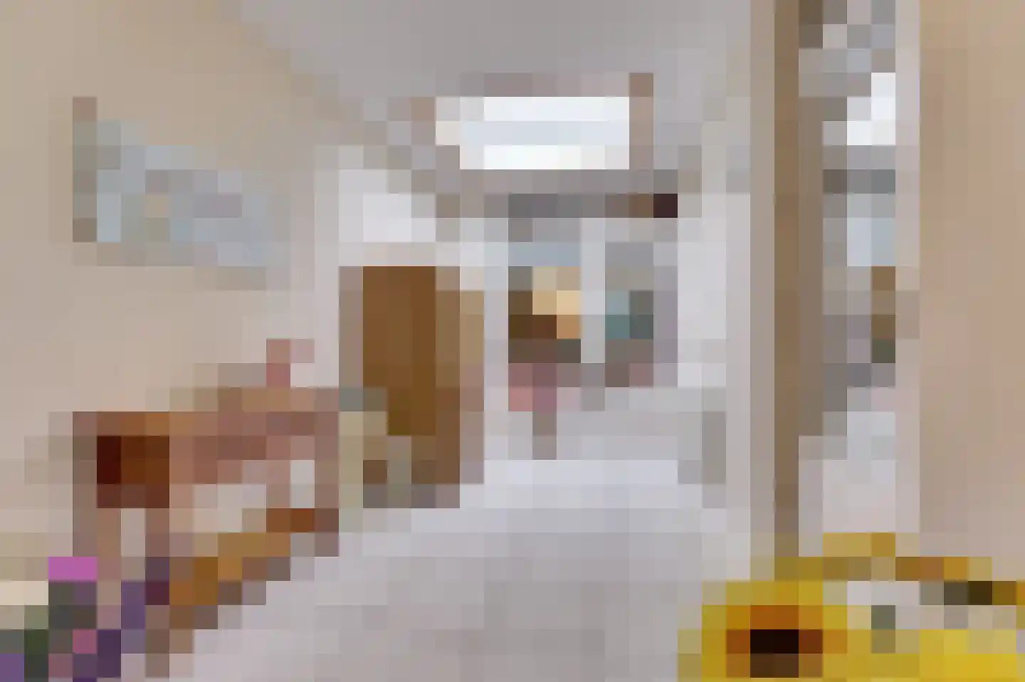 Plevierstraat 12 Velden thumbnail 11
