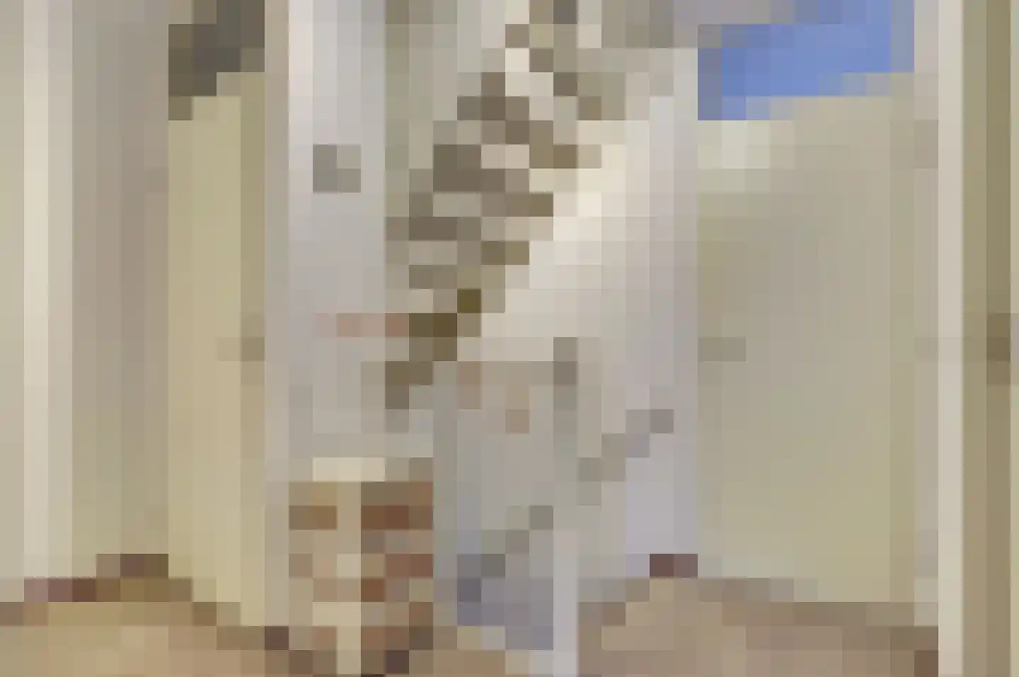 Plevierstraat 12 Velden thumbnail 13