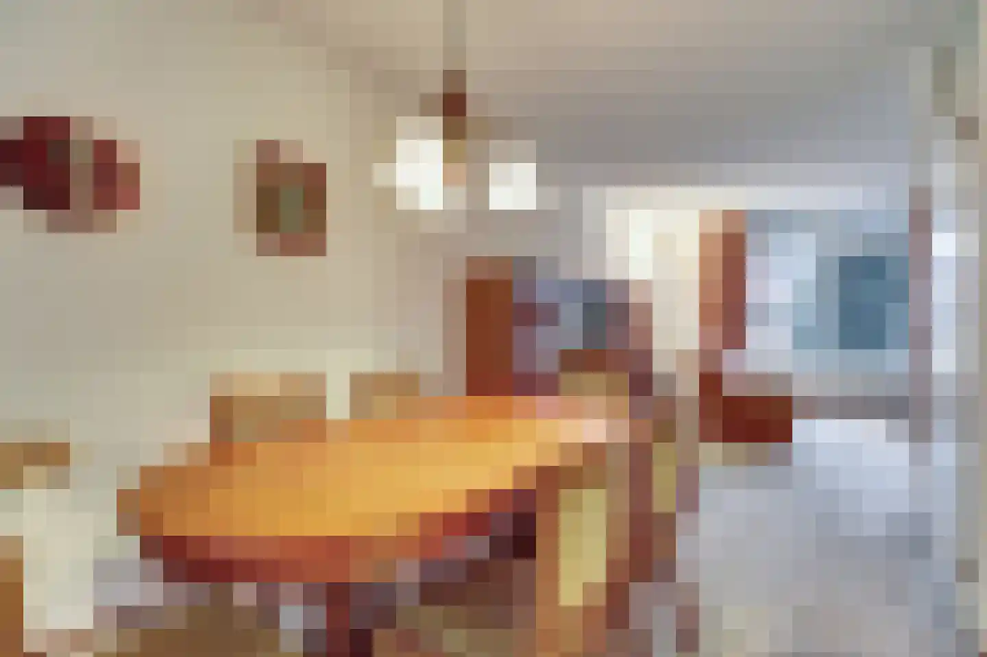 Plevierstraat 12 Velden thumbnail 4
