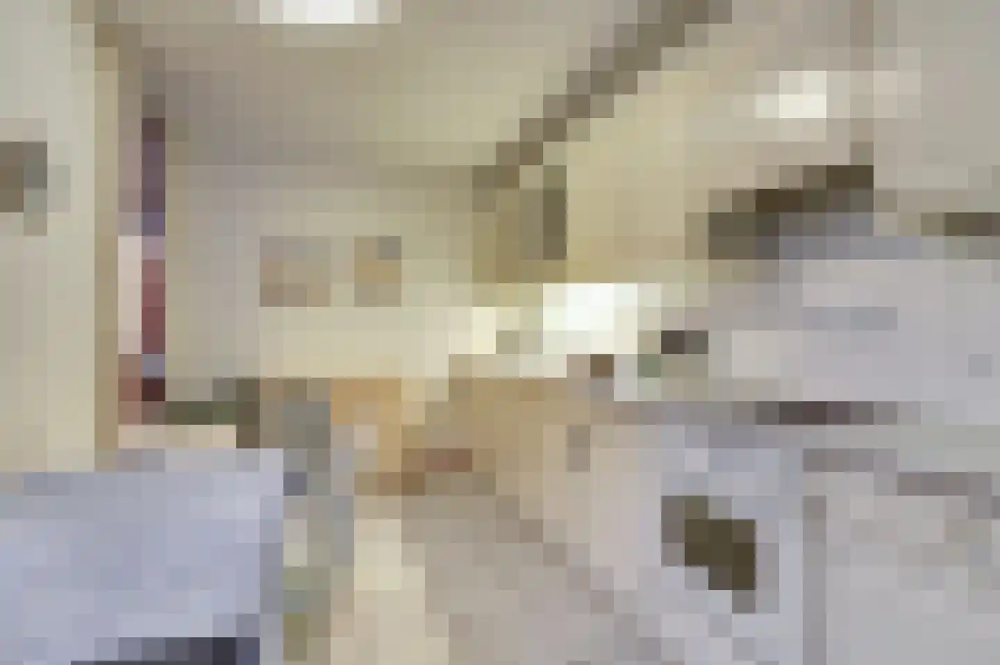 Plevierstraat 12 Velden thumbnail 6