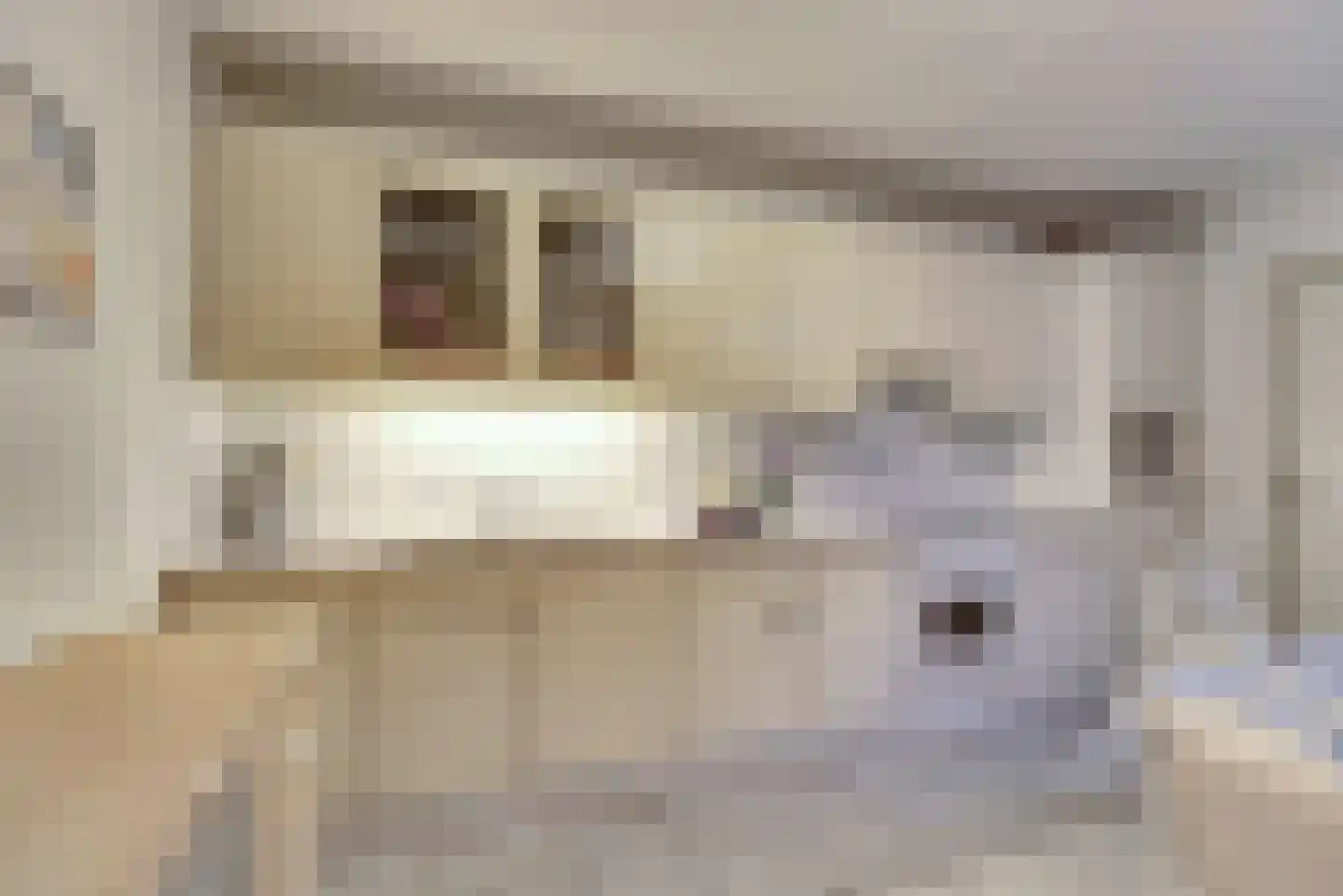 Plevierstraat 12 Velden thumbnail 7