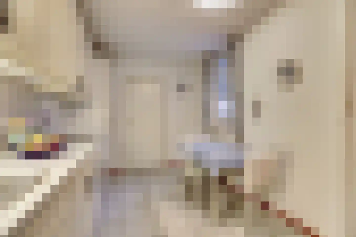 Plevierstraat 12 Velden thumbnail 8
