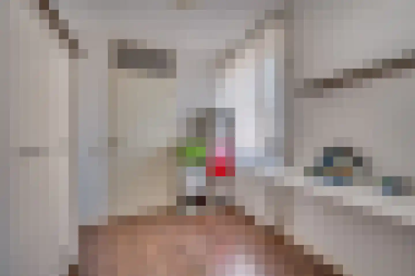 Plevierstraat 19 Velden thumbnail 14