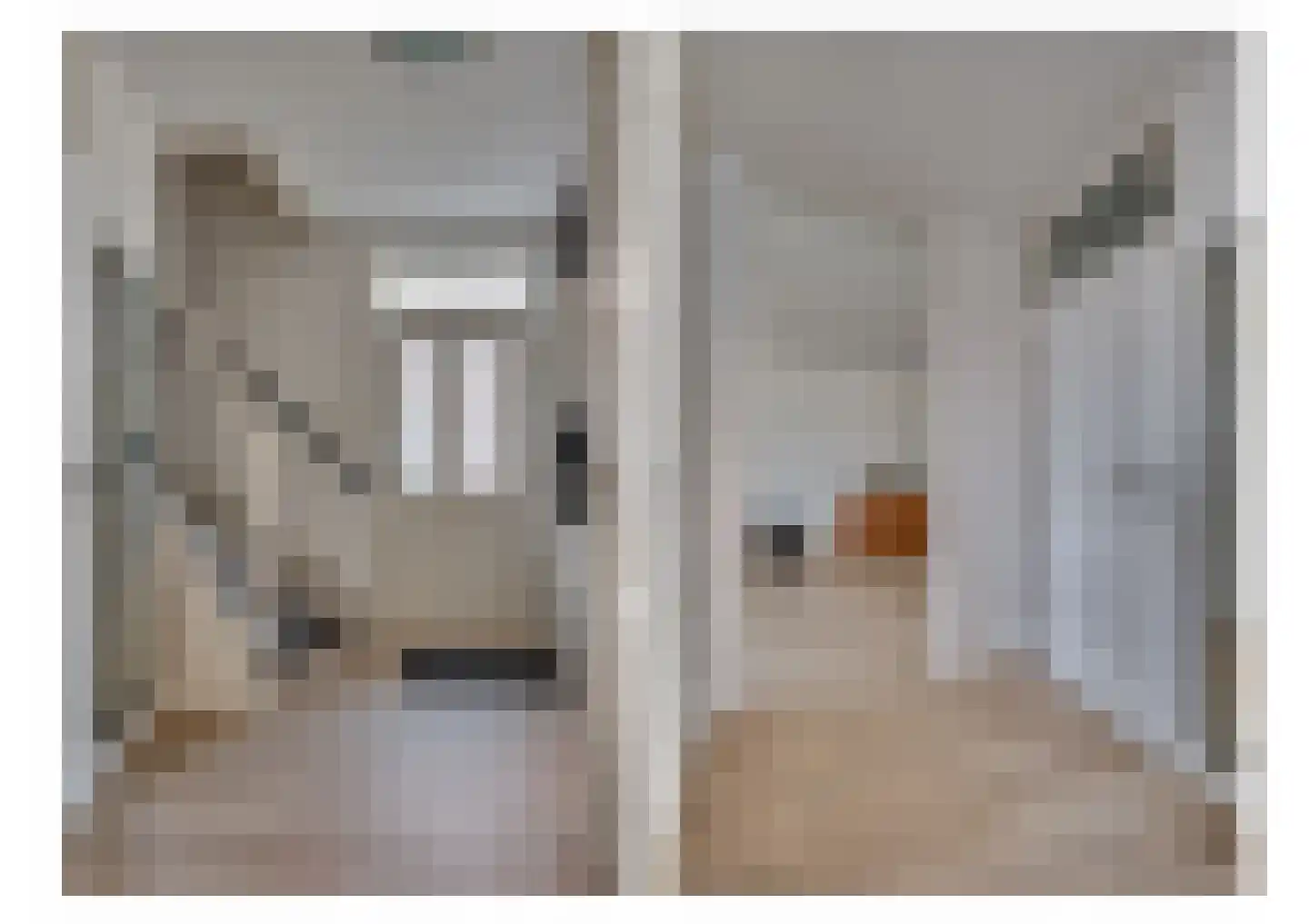 Plevierstraat 19 Velden thumbnail 9
