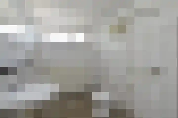 Plevierstraat 2 Anna Paulowna thumbnail 11