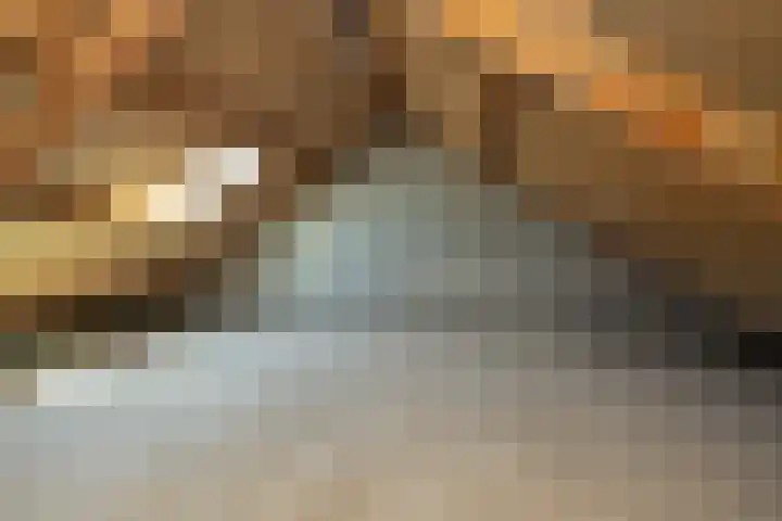 Plevierstraat 2 Anna Paulowna thumbnail 20