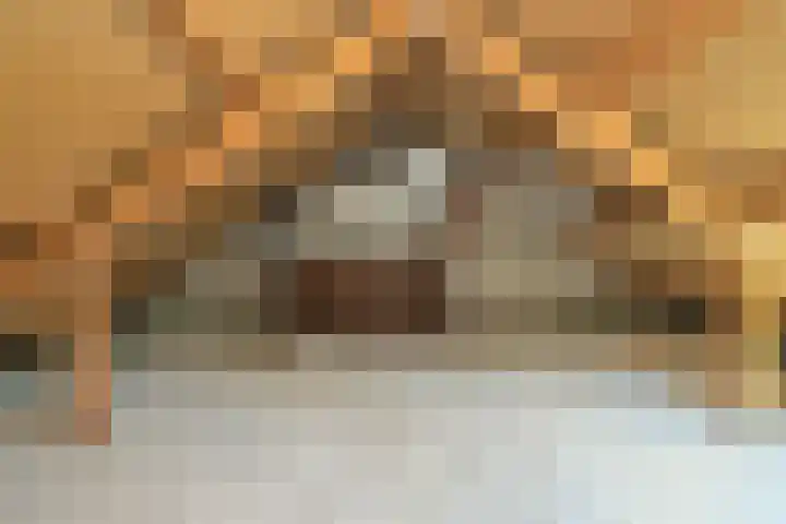 Plevierstraat 2 Anna Paulowna thumbnail 21