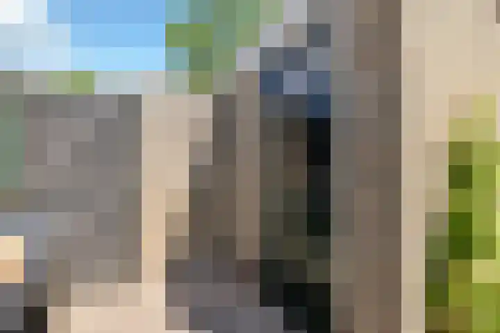 Plevierstraat 2 Anna Paulowna thumbnail 24