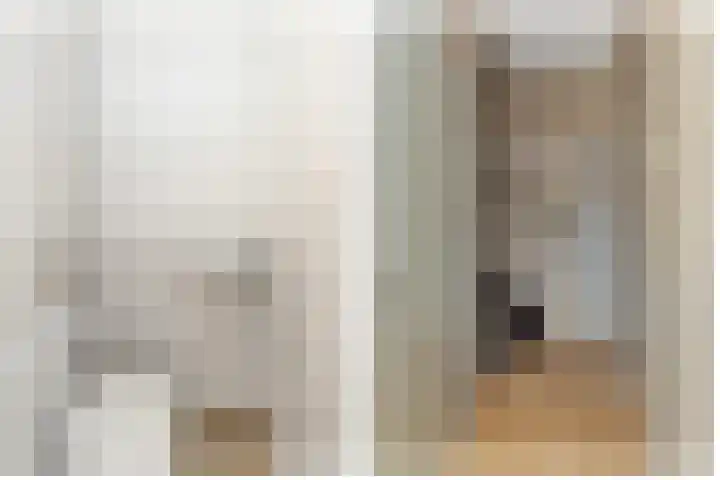 Plevierstraat 2 Anna Paulowna thumbnail 7