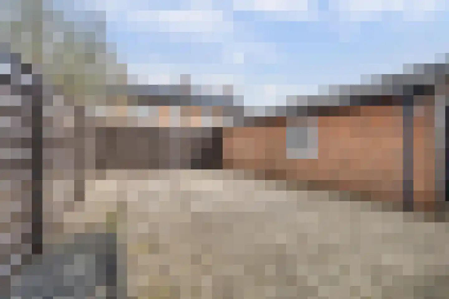 Plevierstraat 23 Zaltbommel thumbnail 23