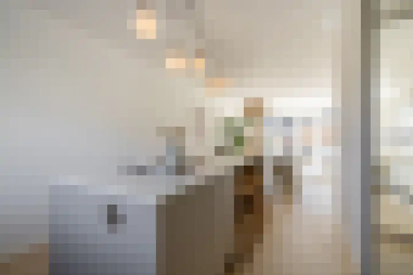 Plevierstraat 26 Oosthuizen thumbnail 19