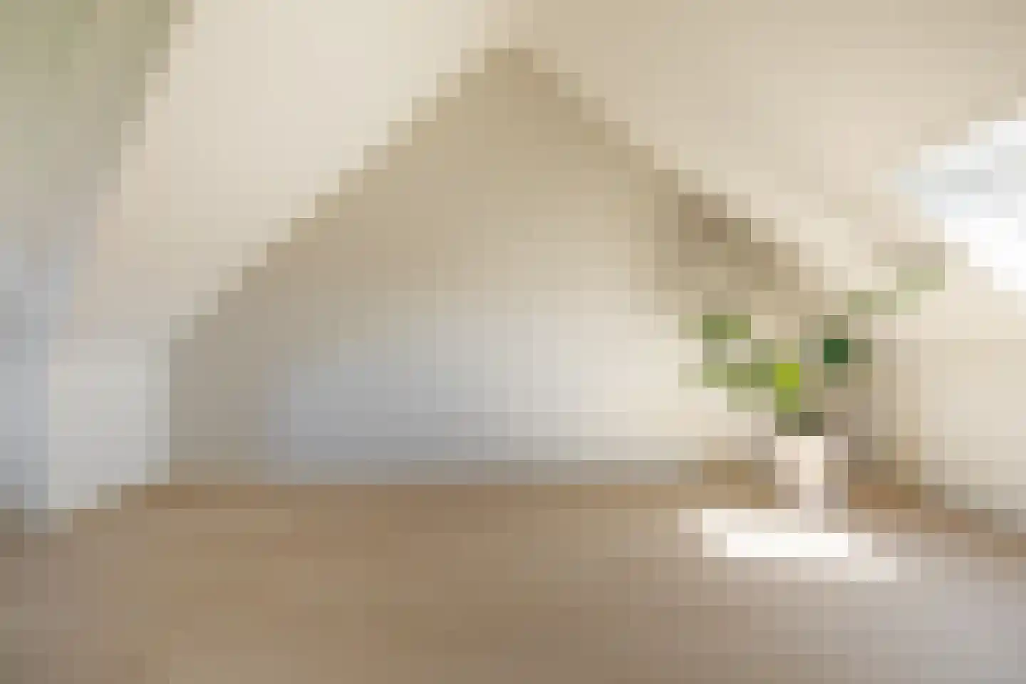 Plevierstraat 26 Oosthuizen thumbnail 31