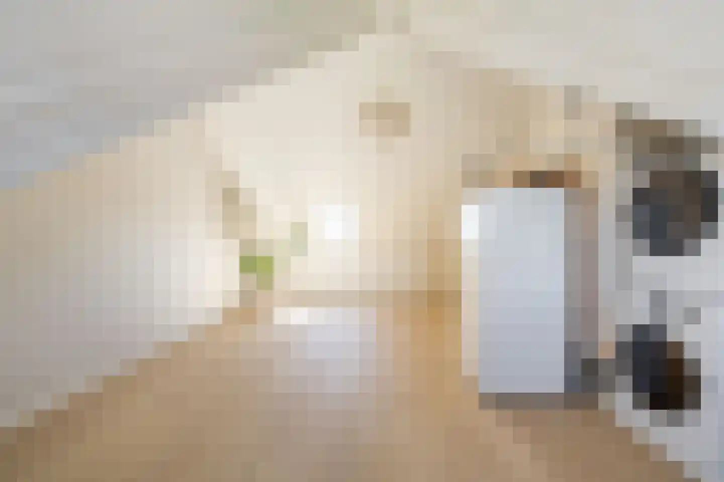 Plevierstraat 26 Oosthuizen thumbnail 33