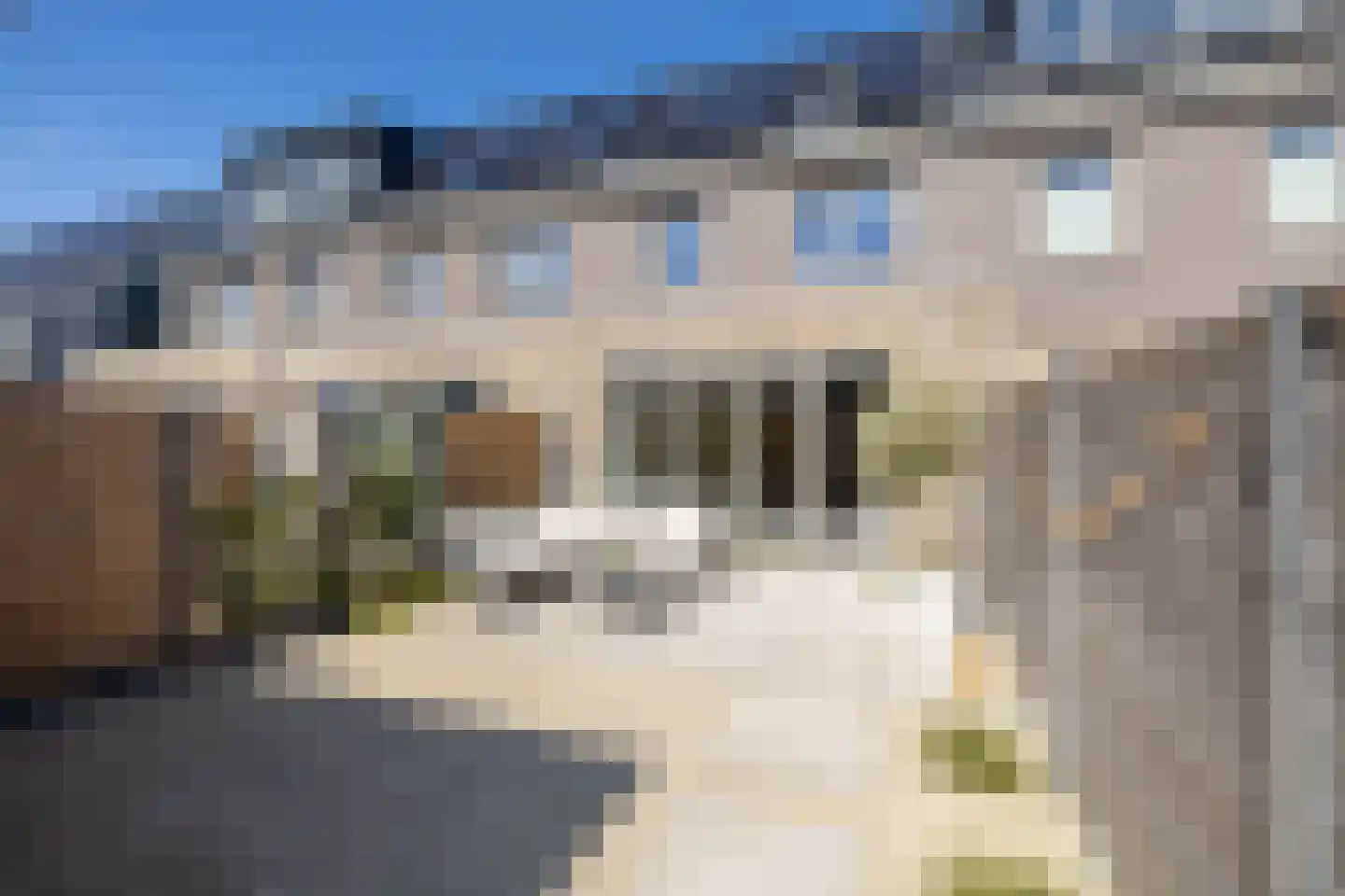 Plevierstraat 26 Oosthuizen thumbnail 38
