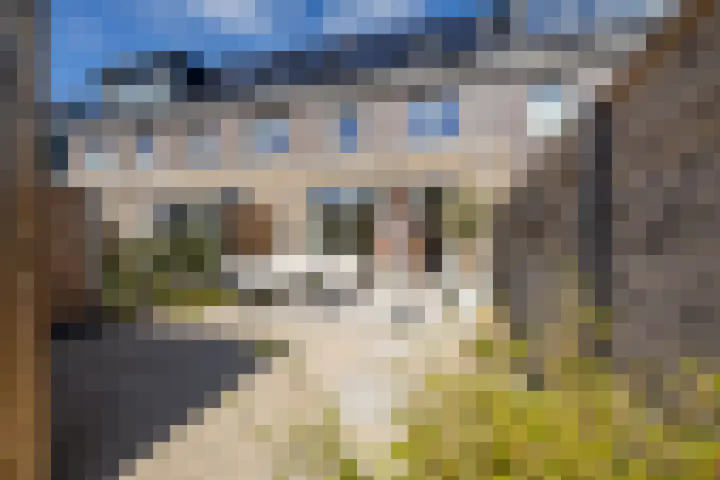 Plevierstraat 26 Oosthuizen thumbnail 5