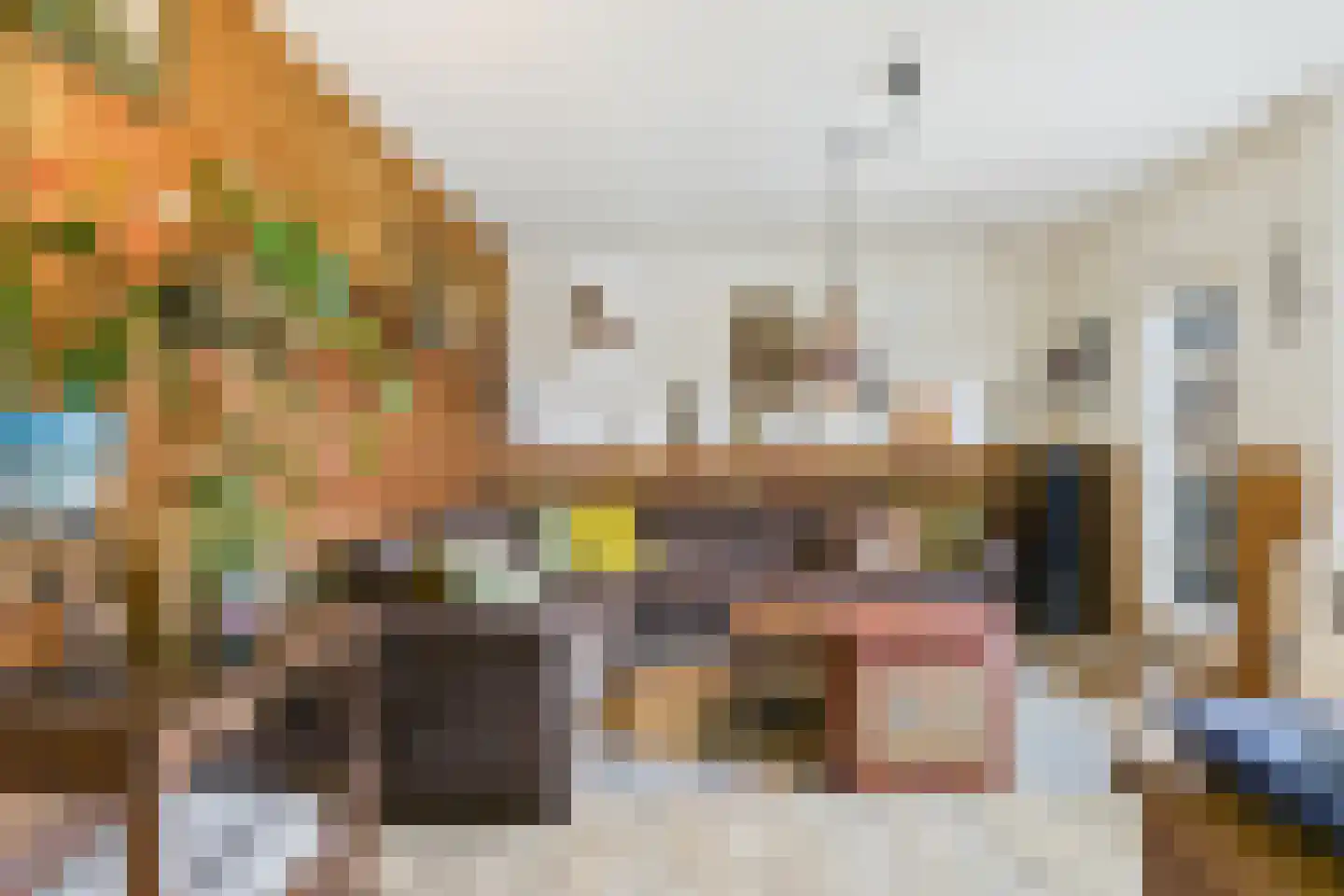 Plevierstraat 3 Hengstdijk thumbnail 10