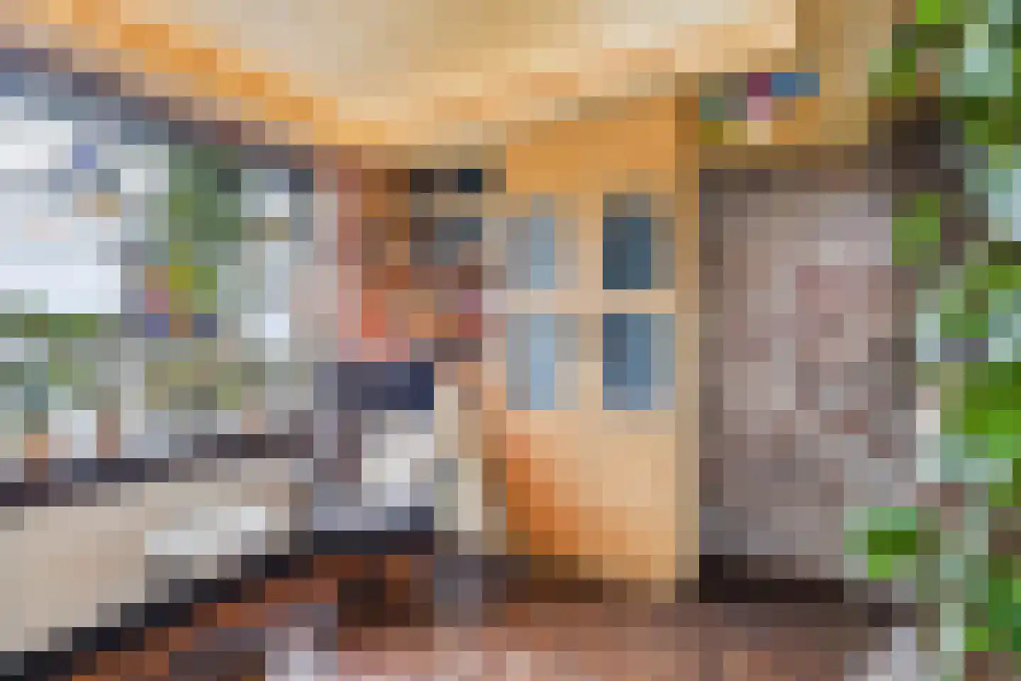 Plevierstraat 3 Hengstdijk thumbnail 12