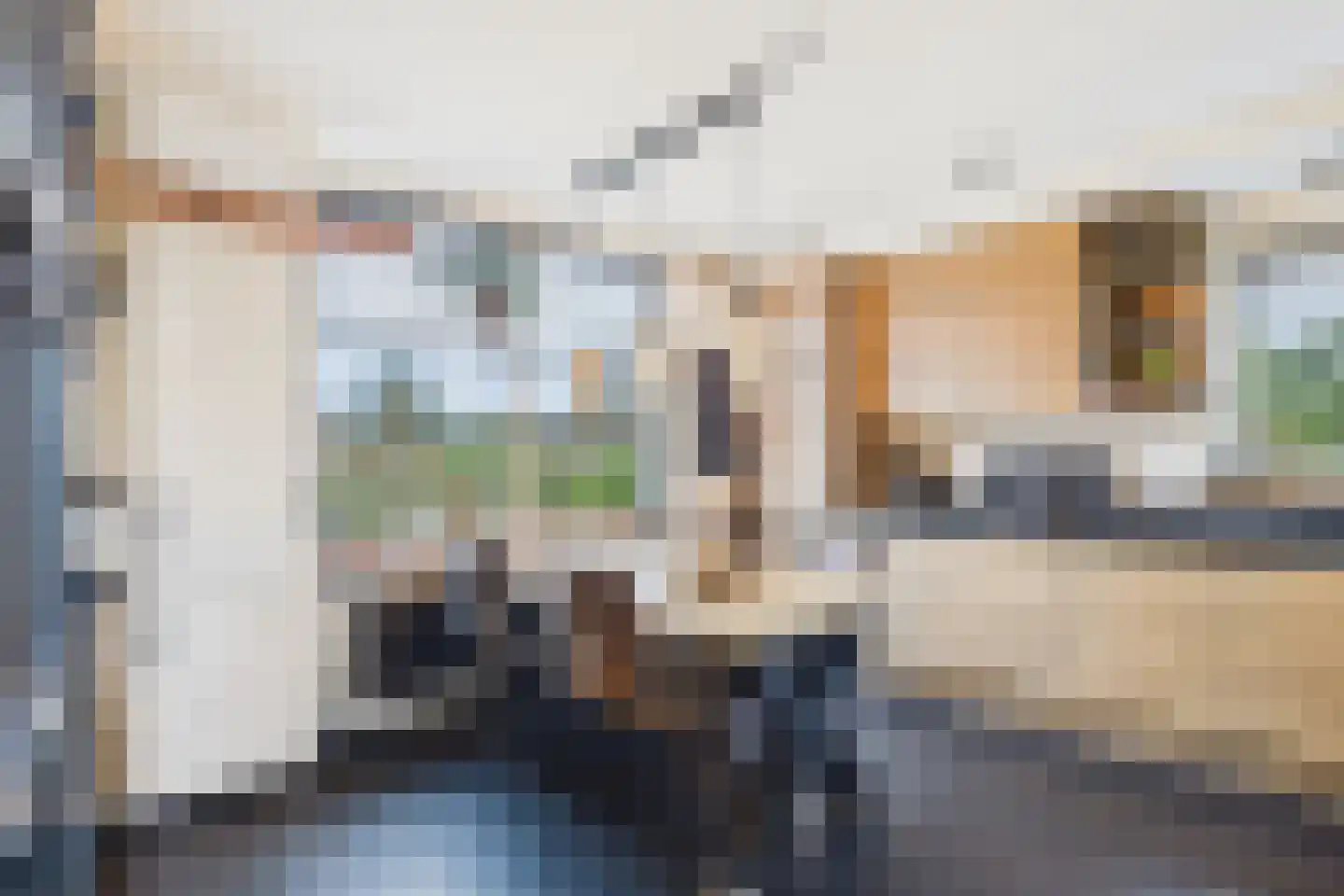 Plevierstraat 3 Hengstdijk thumbnail 13