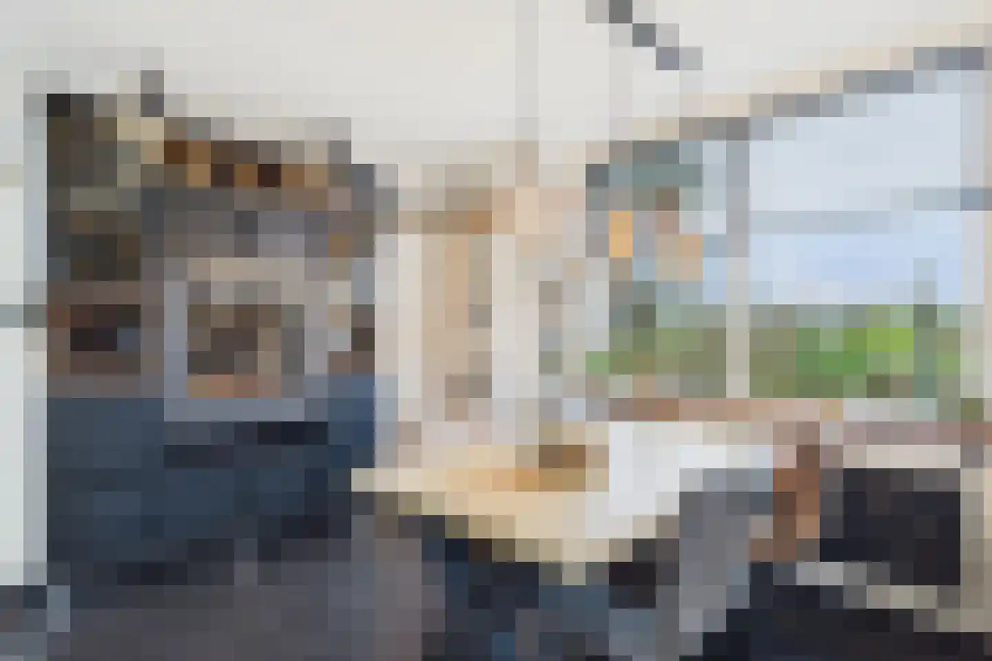 Plevierstraat 3 Hengstdijk thumbnail 14