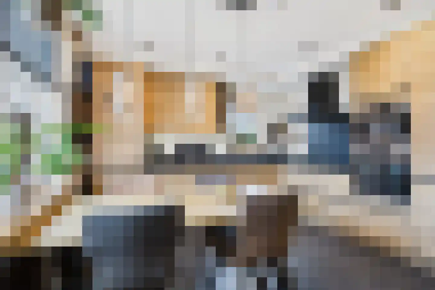 Plevierstraat 3 Hengstdijk thumbnail 17