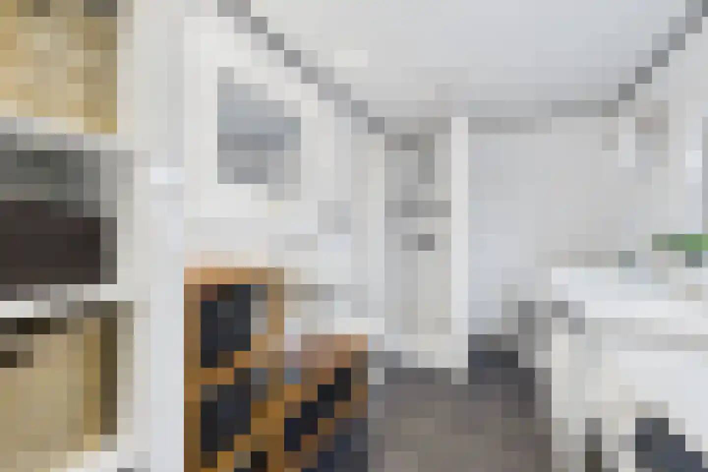 Plevierstraat 3 Hengstdijk thumbnail 18