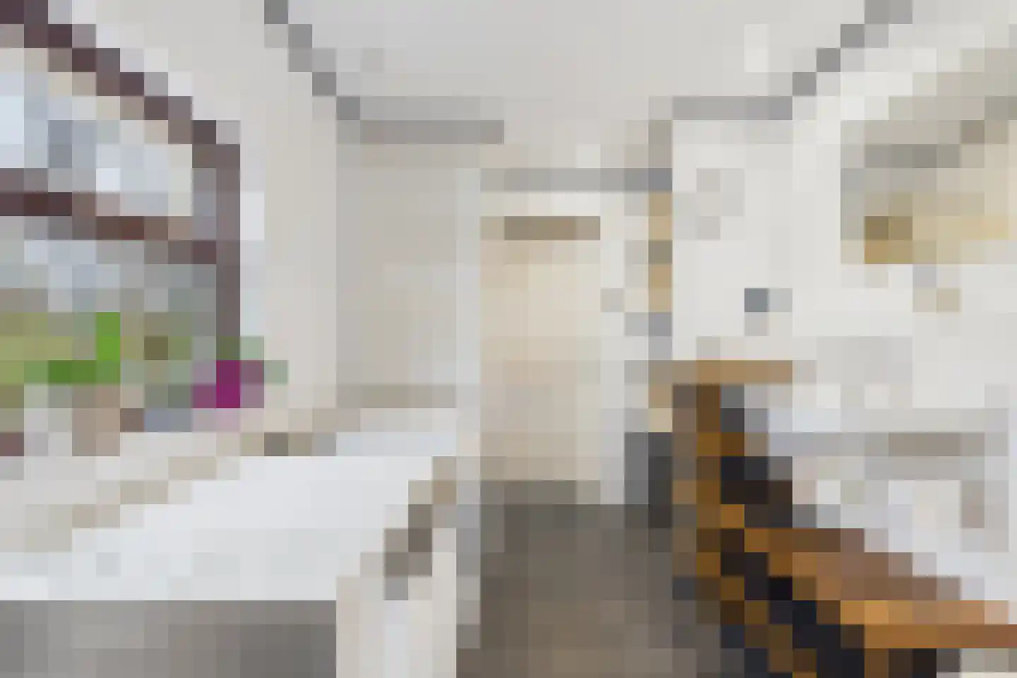 Plevierstraat 3 Hengstdijk thumbnail 20