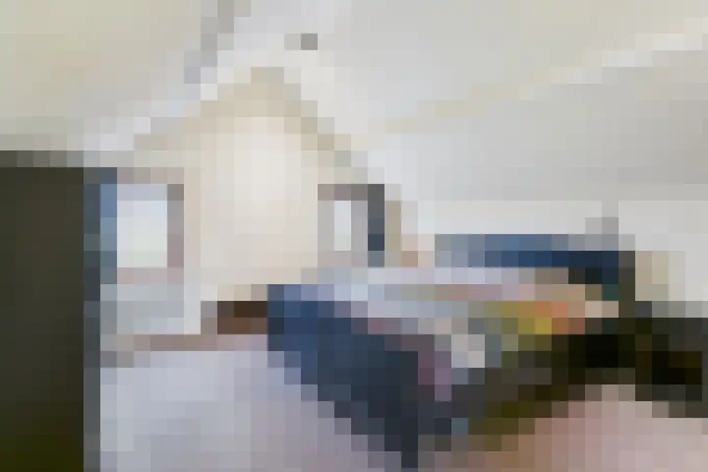 Plevierstraat 3 Hengstdijk thumbnail 22