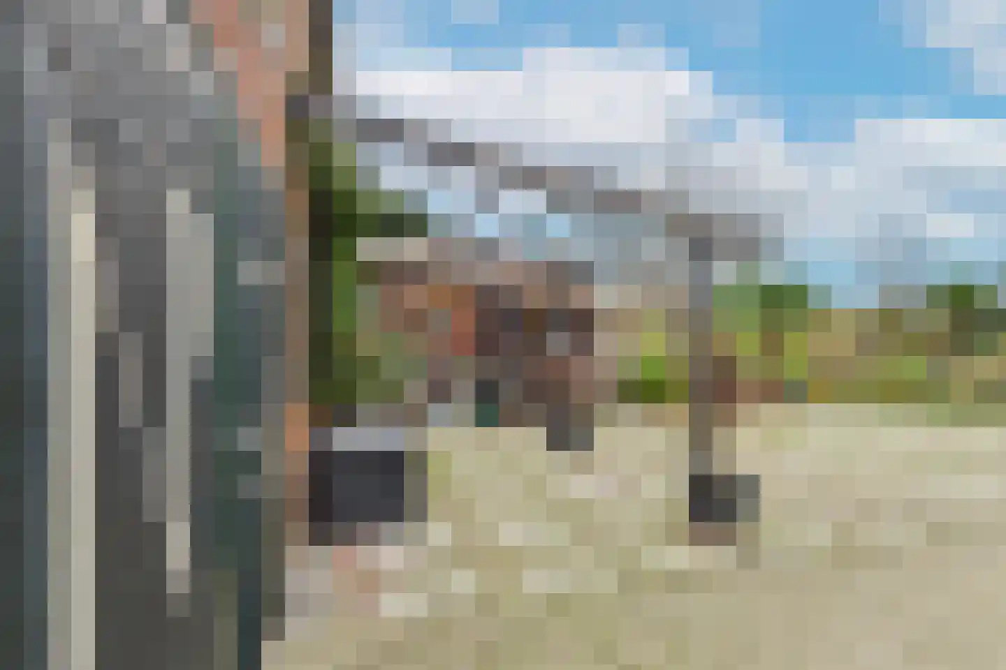 Plevierstraat 3 Hengstdijk thumbnail 26