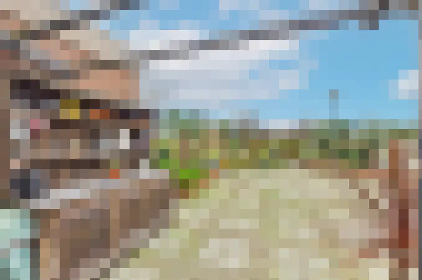 Plevierstraat 3 Hengstdijk thumbnail 28