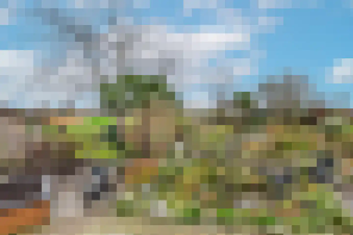 Plevierstraat 3 Hengstdijk thumbnail 29