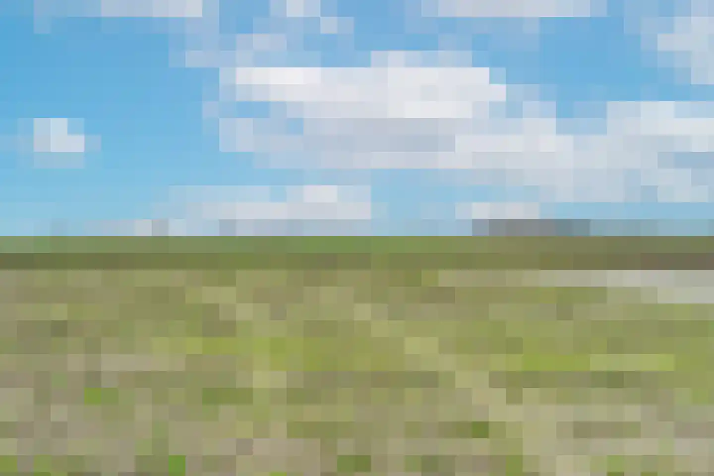 Plevierstraat 3 Hengstdijk thumbnail 32