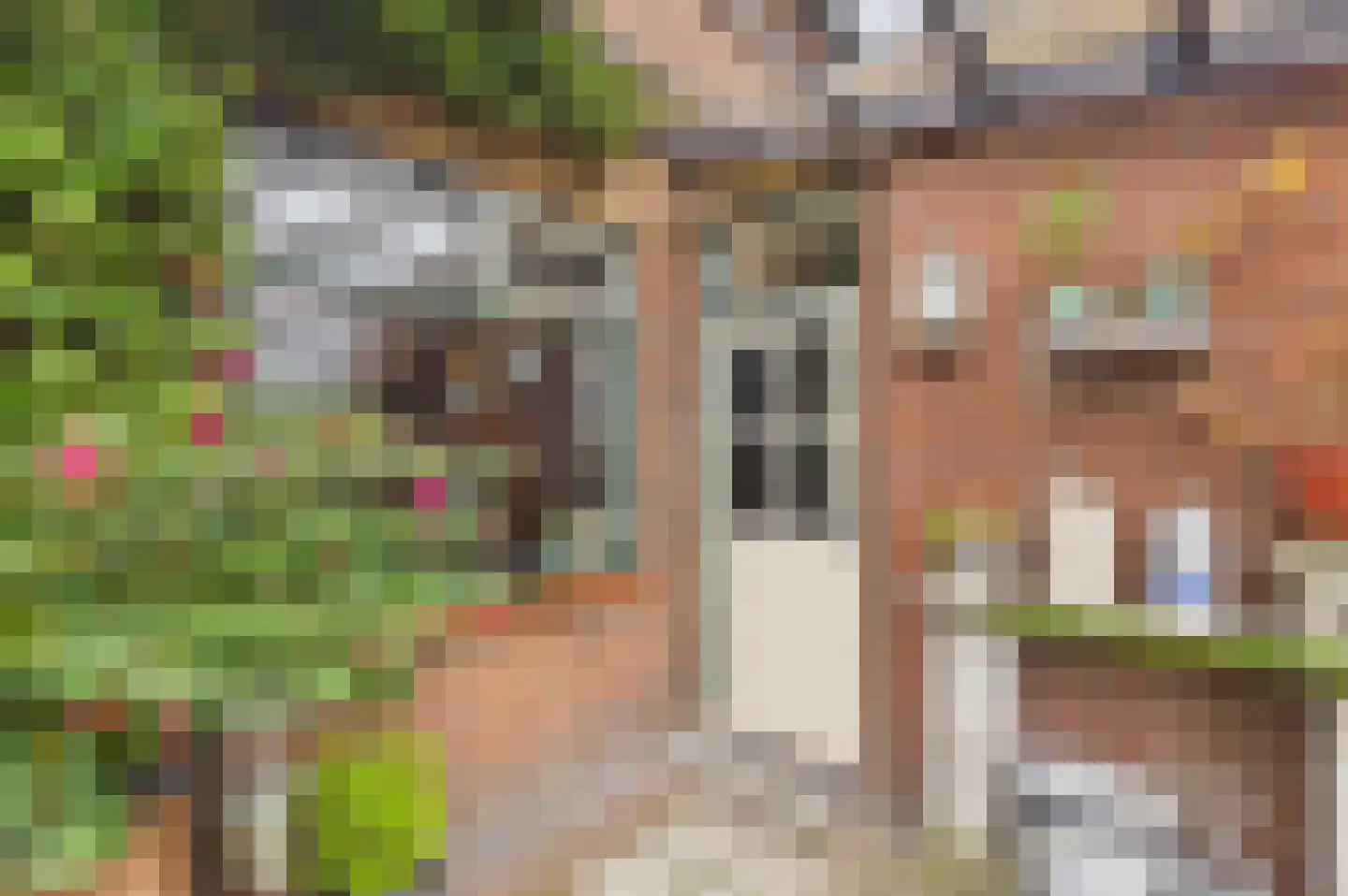 Plevierstraat 3 Hengstdijk thumbnail 8