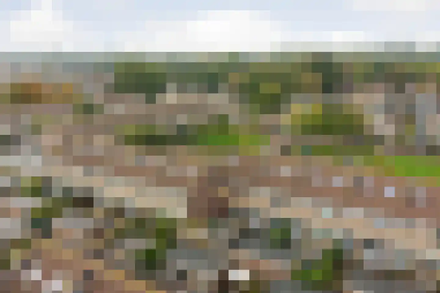 Plevierstraat 30 Rozenburg thumbnail 32