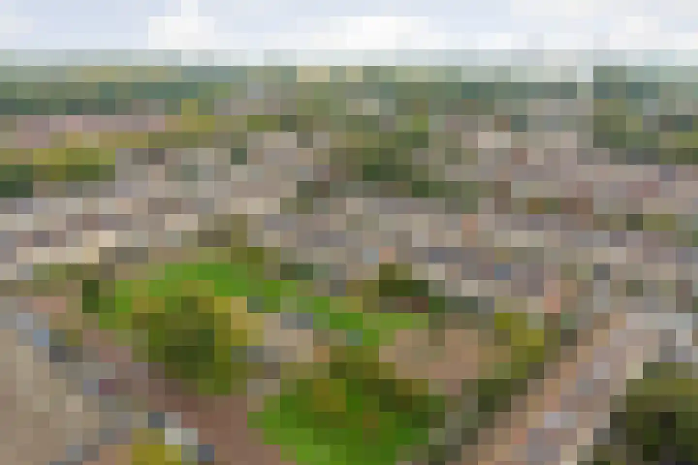 Plevierstraat 30 Rozenburg thumbnail 34