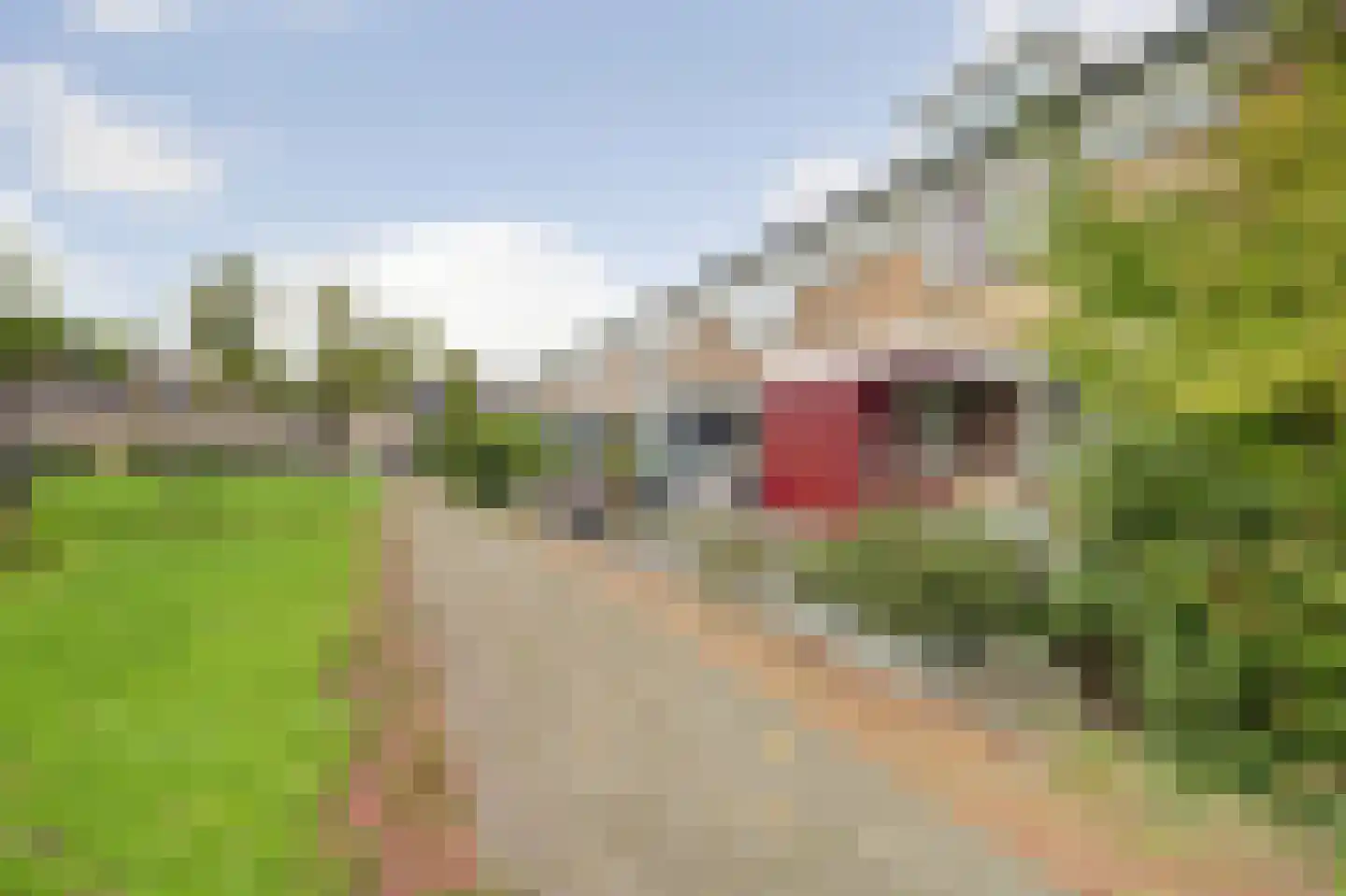 Plevierstraat 30 Rozenburg thumbnail 35