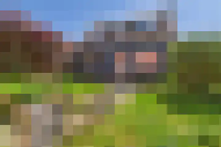 Plevierstraat 31 Hengstdijk thumbnail 26